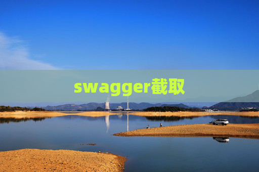 swagger截取